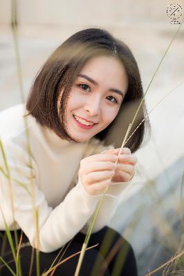 去有风的地方电视剧